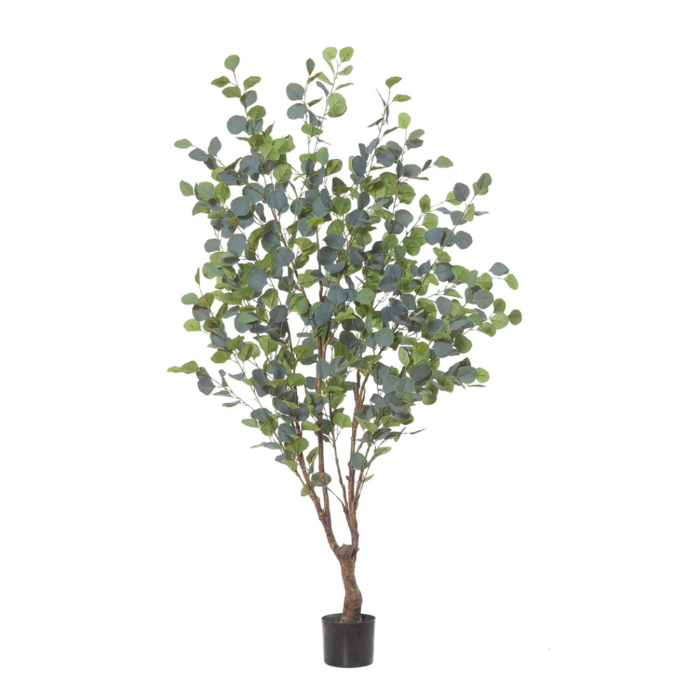 Eucalyptus Tree Green 100 X 100 X 180 cm