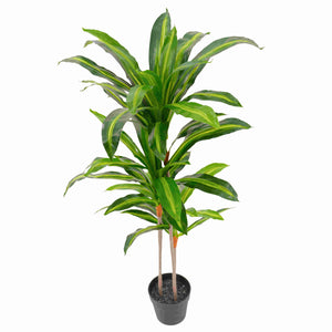 
                  
                    Artificial Dracaena Plant 100cm (UV-Outdoor)
                  
                