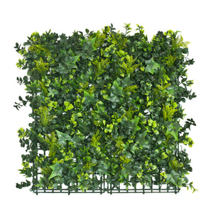 
                  
                    Spring Fern and Ivy Hedge 1m x 1m
                  
                