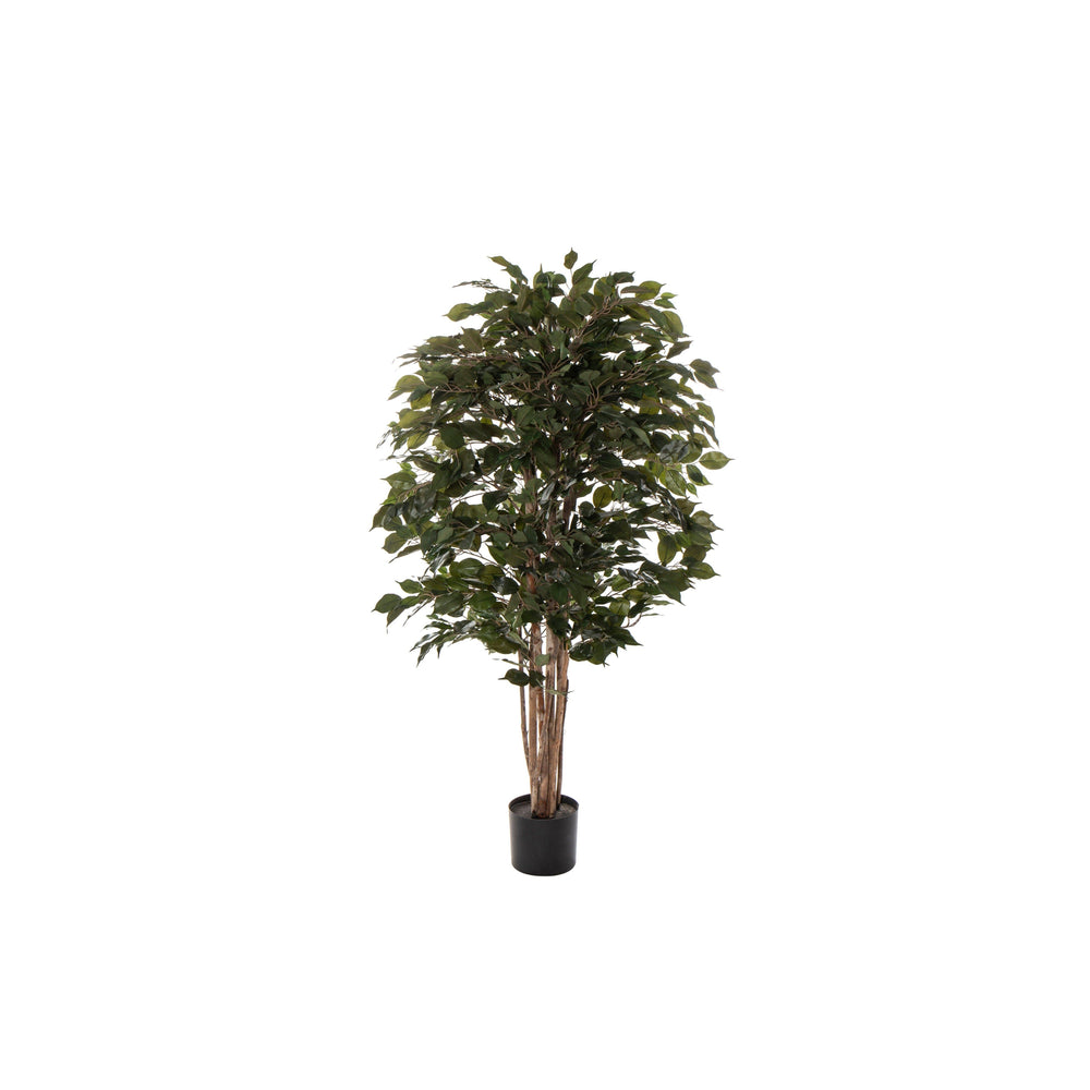 Lush Ficus Tree Green 80 X 80 X 150 cm