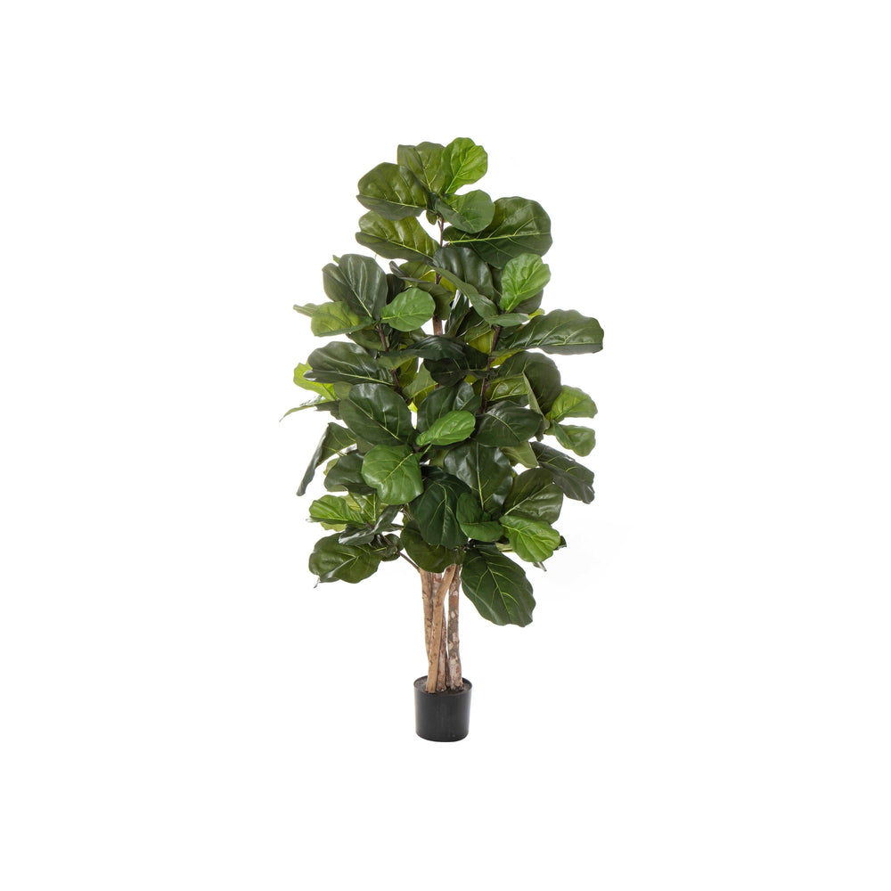 LUSH FIDDLE TREE GREEN 75X75X180CM