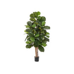 LUSH FIDDLE TREE GREEN 75X75X180CM