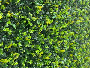
                  
                    Spring Fern Elm and Ivy Hedge 1m x 1m panel
                  
                