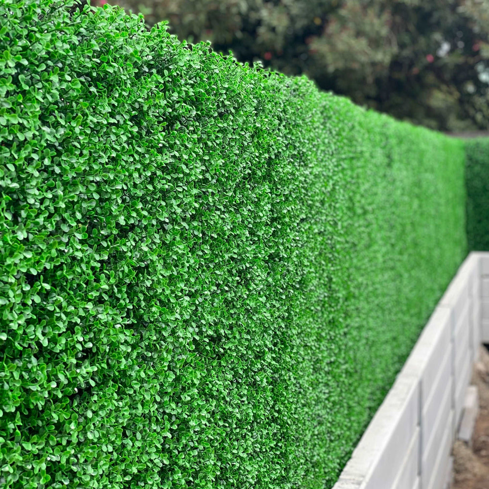 English Buxus Hedge - Green Full Panel