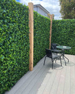 Spring Fern Elm and Ivy Hedge 1m x 1m panel
