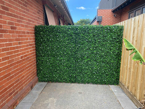 
                  
                    Boxwood Hedge White Jasmine Flowers
                  
                